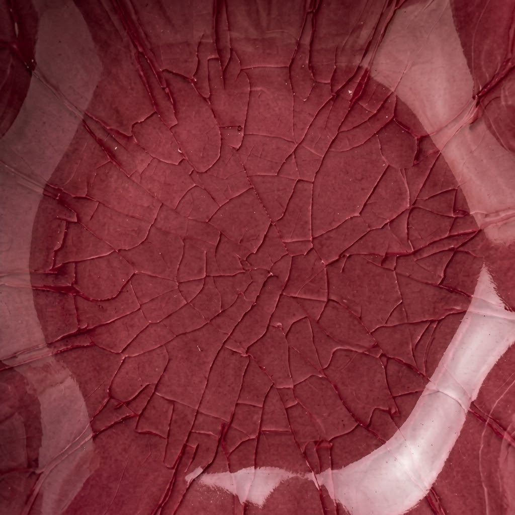 Crimson Bloom Irregular Ceramic Plate
